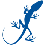 Starlizard Consulting Ltd logo