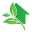 Green Door Placement LLC logo
