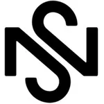 New Standard Partners LLC logo