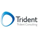 Trident Consulting Inc logo