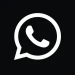 Amo logo