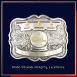 C and L Inspection logo