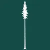Tall Tree Health logo