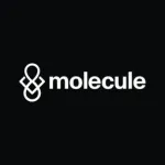 molecule.xyz logo