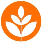 Brand New School logo