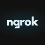 ngrok Inc. logo