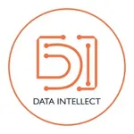Data Intellect logo