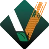 V2Soft logo