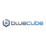 Blue Cube Services logo