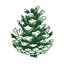 Bristlecone Companies logo
