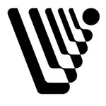 Valency Systems Inc. logo