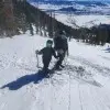 Ryan Miller
